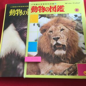 YU-290 小学館の学習百科図鑑5 ワイドカラー 動物の図鑑 箱付き 1988年第46刷発行 小学館 アフリカ 南アジア ヨーロッパ 北アメリカ など