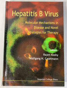 Hepatitis B Virus Rajen Koshy 1998 医学書 古書 本 古本 論文 ハードカバー 洋書 コレクション ディスプレイ アンティーク 【0426.8】