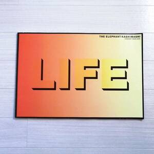 エレファントカシマシ B① ツアーパンフ 2002 LIFE 美品 グッズ 宮本浩次 写真集