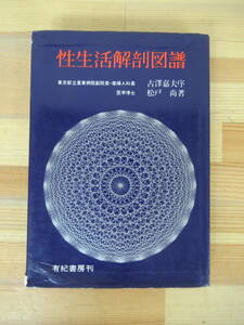 M61▽性生活解剖図譜 古澤嘉夫 松戸尚 有紀書房刊 昭和41年 1966年 性生活 妊娠 出産 東京都立墨東病院副院長 230616