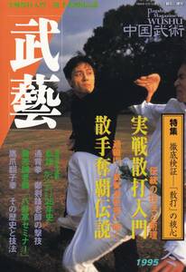 武藝 中国武術 1995年 冬号(実戦散打入門,馬賢達,通背拳,乾卦八卦掌,内家拳入門講座:形意拳,翻子拳,陳家太極拳,螳螂拳,陽湖拳,詠春拳,他）