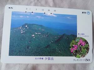 使用済み　テレカ　北の秀峰　夕張岳　高山植物　ユウバリコザクラ　1988.7.1発行　＜430-114＞50度数