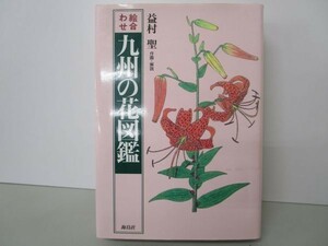 絵合わせ 九州の花図鑑 b0602-db7-nn258568
