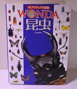 ワンダ 昆虫 ポプラディア大図鑑 ＷＯＮＤＡ 寺山守総合監修 202311mtmtatk 202 1105