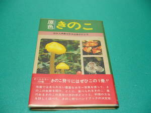 ☆清水大典・水野仲彦・伊沢正名【原色 きのこ】カラーで見る２２４種☆　家の光協会 