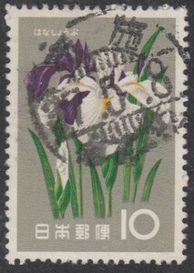(0151)花しょうぶ　櫛型印