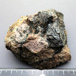 国産鉱物 標本 ハスチング閃石 Hastingsite 大分県尾平鉱山 瑞浪鉱物展示館 5303