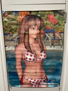 ★希少★レア★ 「DEAD OR ALIVE 」beach B2ポスター 当時物　非売品　TEAM ninja DOA