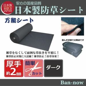 （②ダーク 172ｃｍ×8ｍ）厚手 雑草防止 除草 Ban-now 万能 防根 防草シート (2)