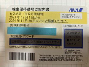 ANA株主優待券　有効期限2024年11月30日