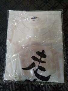 福知山マラソン２００９年 完走Tシャツ Lサイズ