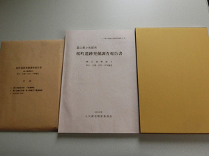 桜町遺跡発掘調査報告書 縄文遺構編2 弥生・古墳・古代・中世編3 小矢部市教育委員会