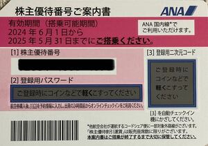ANA 全日空 株主優待券　有効期限2024年6月1日〜2025年5月31日