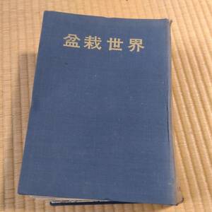 古雑誌 盆栽世界 昭和49年1月～12月 樹石社 昭和レトロ 古本 古書 【3199】