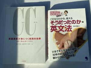 田中茂範本まとめ売り 送料込み　英語感覚が身につく実践的指導―コアとチャンクの活用法 これならわかる、使える そうだったのか★英文法