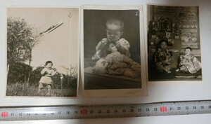 ●昭和前期の　子供達　鯉のぼりで大喜び　写真三葉　節句　雛祭り