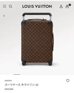 【美品】LOUIS VUITTON ルイヴィトン ホライゾン55 マカサー