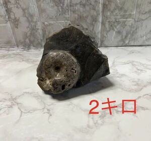 ［送料込み］アンモナイト化石　2キロ
