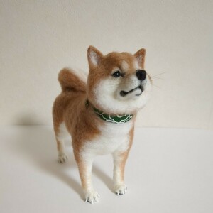 羊毛フェルト　柴犬　豆柴　唐草模様　犬　ハンドメイド　〜ともじろう〜