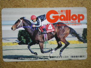 I231Ac・アズマイースト　Gallop　ギャロップ　抽プレ　競馬　未使用　50度数　テレカ