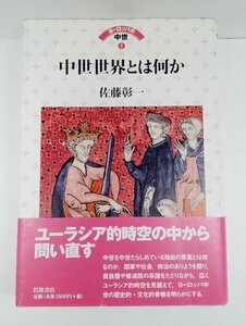 中世世界とは何か (ヨーロッパの中世 1) 佐藤彰一/岩波書店/初版・帯付き