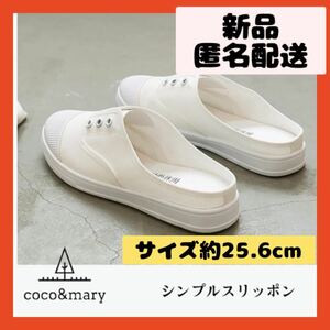 【即購入可】スリッポン　スリッパ　サンダル　靴　シューズ　スニーカー　カジュアル