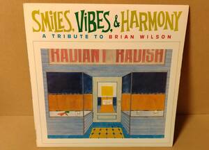 【オルタナV.A LP】Smiles, Vibes & Harmony: A Tribute To Brian Wilson Sonic Youth Thee Headcoats The Cynics Vacant Lot DM0004-1