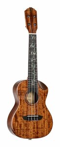 ★ORTEGA RUET-ACA ピックアップ搭載 コンサート ウクレレ ELITE SERIES/ギグバッグ付★新品送料込【独占販売商品】