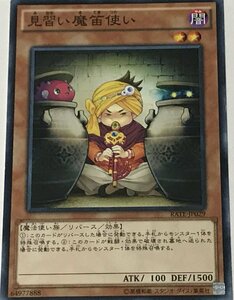 遊戯王 ジャンク ノーマル 効果モンスター 1枚 見習い魔笛使い RATE