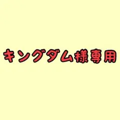 【本格】ライトジャベリン ジャベリックスロー ターボジャブ 体幹バランス