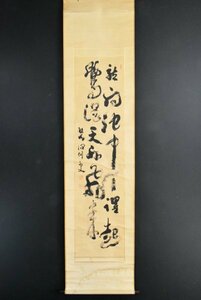 K3571 模写 碧洞 洞仙「二行書」紙本 書 中国 茶掛 掛軸 掛け軸 古美術 人が書いたもの