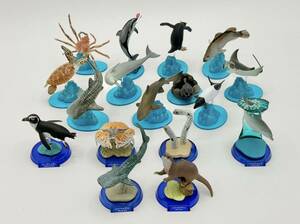 海洋堂　AQUATALES 海の主役たち AQUARIUM FIGURE COLLECTION 日本の水族館 海の社 海遊館 大洗アクアワールド 松村しのぶ