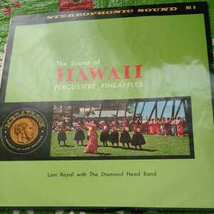 The Sound of HAWAII PERCUSSIVE PINEAPPLES Lani Royal with The Diamond Head Band