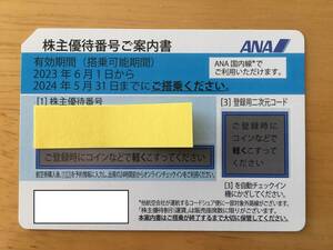 ANA 株主優待券 １枚　2024年5月31日まで　送料無料（普通郵便発送）