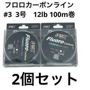 FTK フロロカーボンライン 100m巻 3号 12lb 2個セット