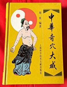 中華奇穴大成 劉炎 上海科学技術文献出版社 2001年発行 中文 中医学 東洋医学 中国語