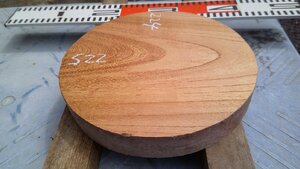 17-90　老木欅（ケヤキ）の乾燥丸材（７寸）・・丸盆・菓子器・皿・ロクロ・挽きもの
