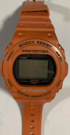 【別注】ヴィンテージ ビームス スティング G-SHOCK DW-5700