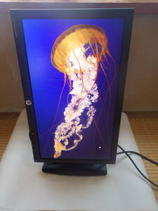 ☆即決！HP Compaq(ヒューレットパッカード コンパック) 20インチ液晶モニタ LA2006x！！☆