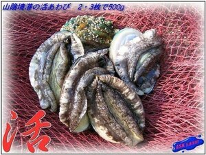 とれたて「黒あわび2・3枚で500g」天然物　ASK福袋訳業務用