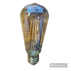 LED 電球 フィラメント 密閉器具対応 一般電球 60形相当
