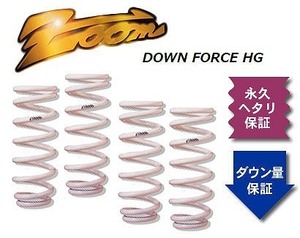 ズーム ダウンフォースHG ローダウンサスペンション ZSB041019SHG 入数：1台分 スバル レガシィツーリングワゴン BH5 EJ20 4WD GT-B 2000cc