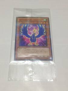 遊戯王　ユニバード　ノーマルパラレル　未開封　未使用　ノーパラ　パラレル　DREV-JP012　大会開催店舗限定パック　送料無料