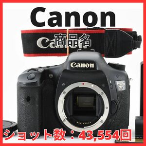 E20/5700-12 / キャノン Canon EOS 7D ボディ 【ショット数 43,554回】