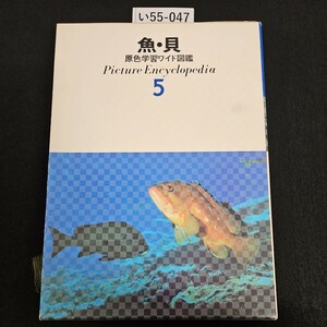 い55-047 魚 貝 原色学習ワイド図鑑 Picture Encyclopedi a 5