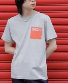 美品 GDC グランドキャニオン Tシャツ XL グレー 降谷