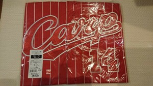 常昇魂 レプリカ ユニフォーム 大瀬良 大地 ハイクオリティ 広島東洋カープ Carp カープ 2015 限定 L サイズ 新品 未使用 14