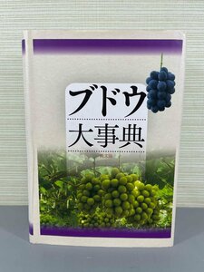 ▼中古品▼ ブドウ大事典　農山漁村文化協会　農文協編　※書き込み・塗りつぶしあり（21024041205707NM)