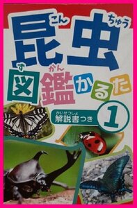 【かるた:カルタ：昆虫:1個】★かるた:カルタ・ゲーム・説明書付き:カード裏に解説あり：知育玩具：脳を活性化★