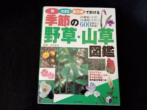 季節の野草・山草図鑑 高村忠彦